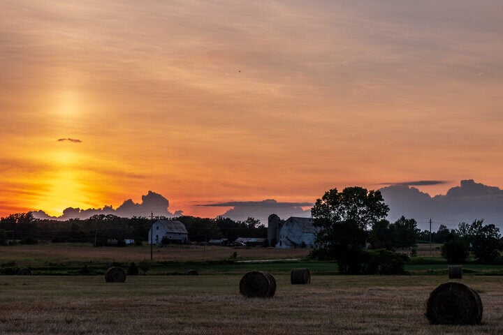 Belleville Area Farm